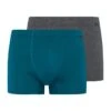 Cotton Essentials 2-Pack Deep Lagoon/Coal Melange (073079) -Hanro cotton essentials 2 pack deep lagoon coal melange