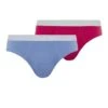 Cotton Essentials Briefs 2-Pack Barberry Spice/Forget Me Not (073075) -Hanro cotton essentials briefs 2 pack barberry spice for