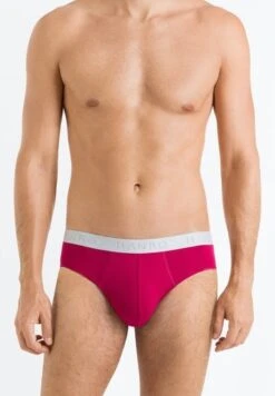 Cotton Essentials Briefs 2-Pack Barberry Spice/Forget Me Not (073075) 15 Cotton Essentials Briefs 2-Pack Barberry Spice/Forget Me Not (073075) -Hanro cotton essentials briefs 2 pack barberry spice for 3