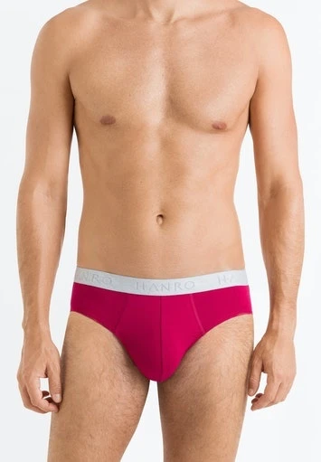 Cotton Essentials Briefs 2-Pack Barberry Spice/Forget Me Not (073075) 6 Cotton Essentials Briefs 2-Pack Barberry Spice/Forget Me Not (073075) - Afbeelding 4