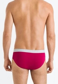 Cotton Essentials Briefs 2-Pack Barberry Spice/Forget Me Not (073075) 17 Cotton Essentials Briefs 2-Pack Barberry Spice/Forget Me Not (073075) -Hanro cotton essentials briefs 2 pack barberry spice for 5