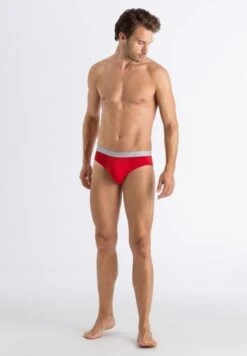 Cotton Essentials Briefs 2-Pack Midnight/Amaryllis (073075) -Hanro cotton essentials briefs 2 pack midnight amaryllis 6