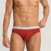 Cotton Essentials Briefs 2-Pack Red Ochre/Fresh Grey (073075) -Hanro cotton essentials briefs 2 pack red ochre fresh gr