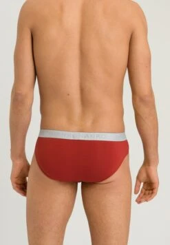 Cotton Essentials Briefs 2-Pack Red Ochre/Fresh Grey (073075) 12 Cotton Essentials Briefs 2-Pack Red Ochre/Fresh Grey (073075) -Hanro cotton essentials briefs 2 pack red ochre fresh gr 2