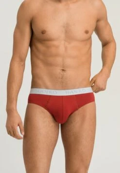 Cotton Essentials Briefs 2-Pack Red Ochre/Fresh Grey (073075)