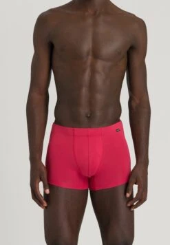 Cotton Essentials Pants 2-Pack Amaranth/Mercury (073079) -Hanro cotton essentials pants 2 pack amaranth mercury 07 2