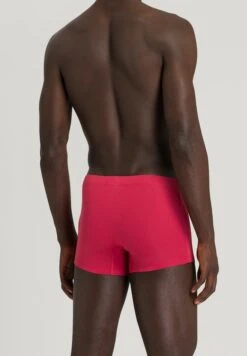 Cotton Essentials Pants 2-Pack Amaranth/Mercury (073079) -Hanro cotton essentials pants 2 pack amaranth mercury 07 4