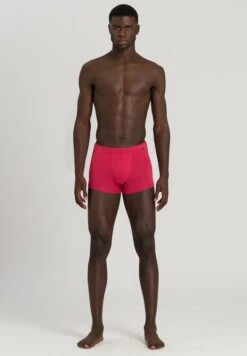 Cotton Essentials Pants 2-Pack Amaranth/Mercury (073079) -Hanro cotton essentials pants 2 pack amaranth mercury 07 6