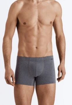 Cotton Essentials Pants 2-Pack Artichoke/Coal Melange (073079) -Hanro cotton essentials pants 2 pack artichoke coal mela 3