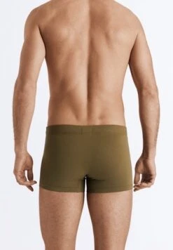 Cotton Essentials Pants 2-Pack Artichoke/Coal Melange (073079) -Hanro cotton essentials pants 2 pack artichoke coal mela 4