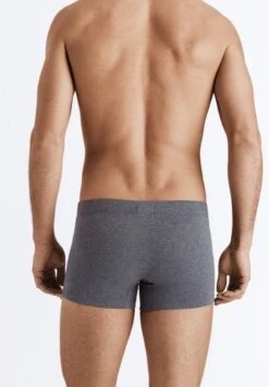 Cotton Essentials Pants 2-Pack Artichoke/Coal Melange (073079) -Hanro cotton essentials pants 2 pack artichoke coal mela 5