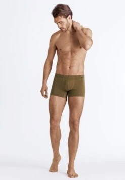 Cotton Essentials Pants 2-Pack Artichoke/Coal Melange (073079) -Hanro cotton essentials pants 2 pack artichoke coal mela 6