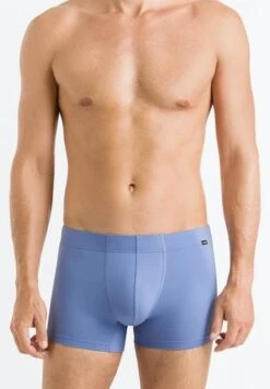 Cotton Essentials Pants 2-Pack Barberry Spice/Forget Me Not (073079) -Hanro cotton essentials pants 2 pack barberry spice forg 2