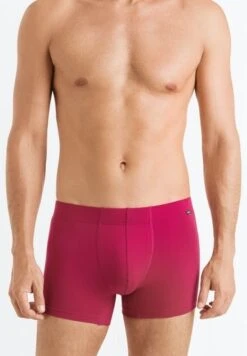 Cotton Essentials Pants 2-Pack Barberry Spice/Forget Me Not (073079) -Hanro cotton essentials pants 2 pack barberry spice forg 3