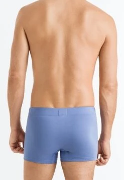 Cotton Essentials Pants 2-Pack Barberry Spice/Forget Me Not (073079) -Hanro cotton essentials pants 2 pack barberry spice forg 4