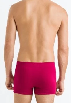 Cotton Essentials Pants 2-Pack Barberry Spice/Forget Me Not (073079) -Hanro cotton essentials pants 2 pack barberry spice forg 5