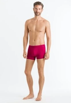 Cotton Essentials Pants 2-Pack Barberry Spice/Forget Me Not (073079) -Hanro cotton essentials pants 2 pack barberry spice forg 7