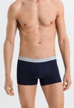 Cotton Essentials Pants 2-Pack Clematis Blue/Deep Navy (073078) -Hanro cotton essentials pants 2 pack clematis blue deep 3