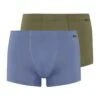 Cotton Essentials Pants 2-Pack Labradorblue/Moss (073079) -Hanro cotton essentials pants 2 pack labradorblue moss 0