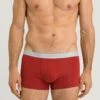 Cotton Essentials Pants 2-Pack Red Ochre/Fresh Grey (073078) 2 Cotton Essentials Pants 2-Pack Red Ochre/Fresh Grey (073078) -Hanro cotton essentials pants 2 pack red ochre fresh gre