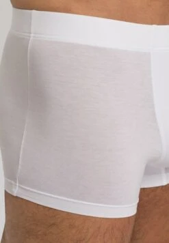 Cotton Essentials Pants 2-Pack White (073079) -Hanro cotton essentials pants 2 pack white 073079 3