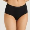 Cotton Sensation Maxi Brief Black (071413) -Hanro cotton sensation maxi brief black 071413