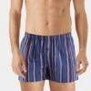 Fancy Woven Boxer Fading Blue Stripe (074013) -Hanro fancy woven boxer fading blue stripe 074013