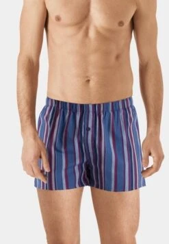 Fancy Woven Boxer Fading Blue Stripe (074013)