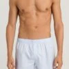 Fancy Woven Boxer Light Blue (074013) 2 Fancy Woven Boxer Light Blue (074013) -Hanro fancy woven boxer light blue 074013